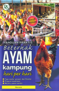 Panduan Praktis Beternak Ayam Kampung Hari per Hari