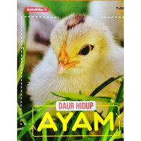 Daur Hidup Ayam