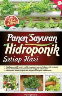 Panen Sayuran Hidroponik Setiap Hari