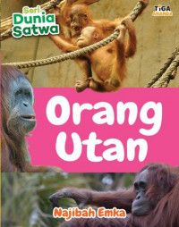 Orang Utan