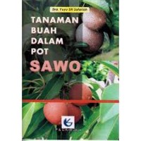 Tanaman Buah Dalam Pot